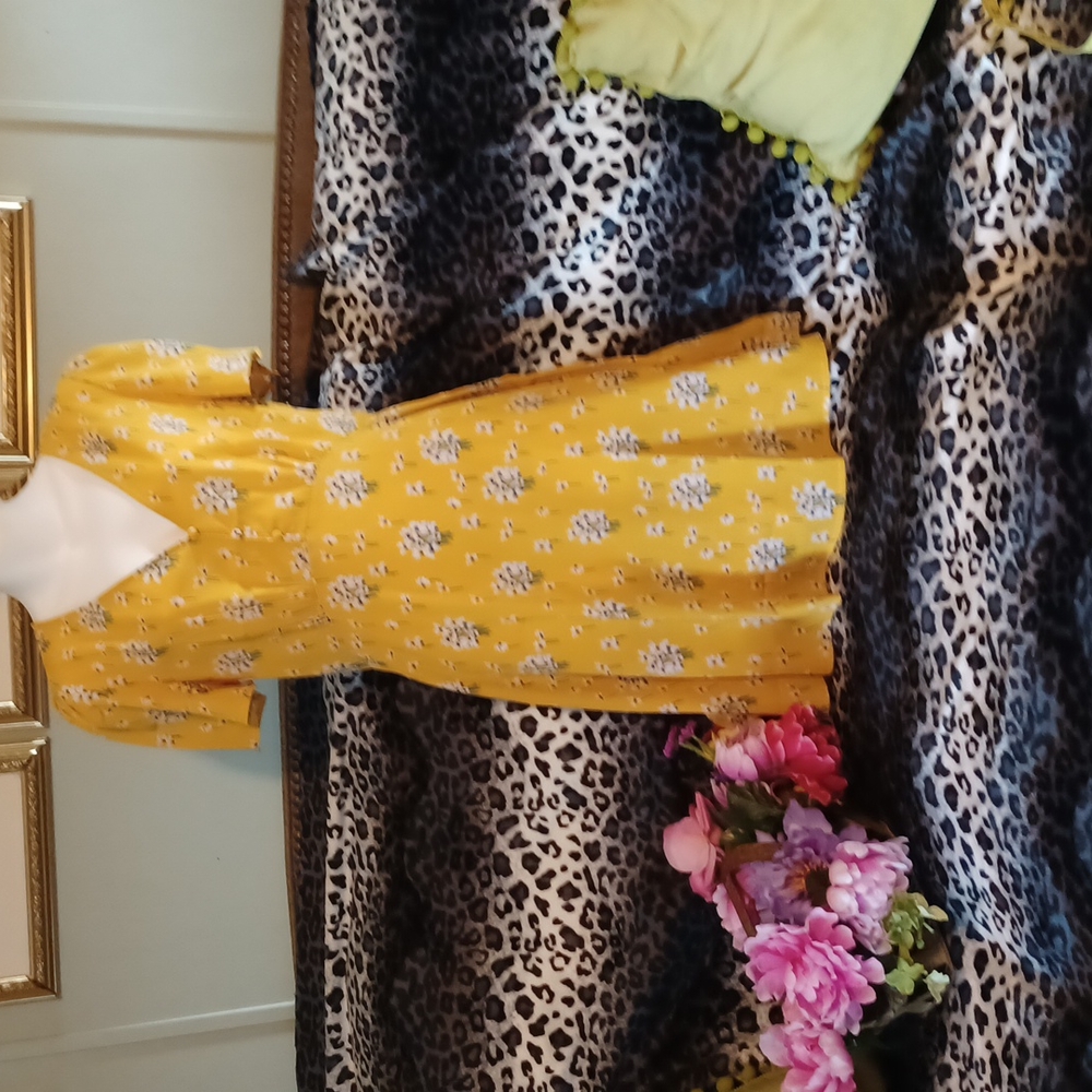 PRICE DROP TODAY 💐💐NWT BEAUTIFUL DRESS - Picture 1 of 5